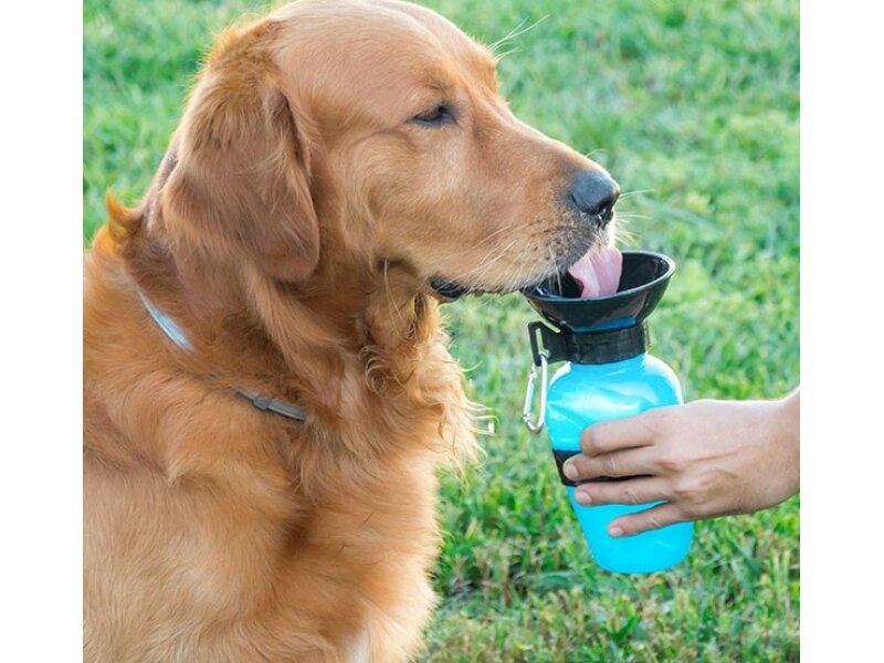 Снимка на Бутилка за пиене на вода за кучета