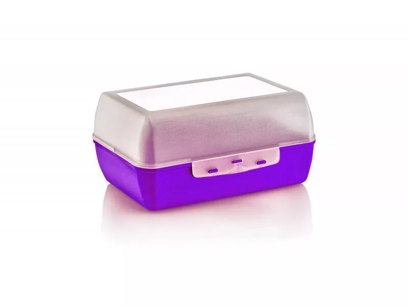 Снимка на Пластмасова кутия за сандвичи средна