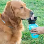 Бутилка за пиене на вода за кучета